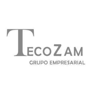 Miguel de Lucas - Conferencias - TecoZam
